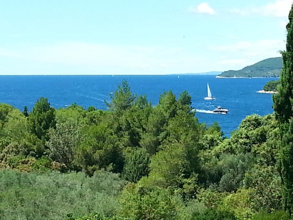 Jees Exclusive Apartments Hvar Старий Град Екстер'єр фото
